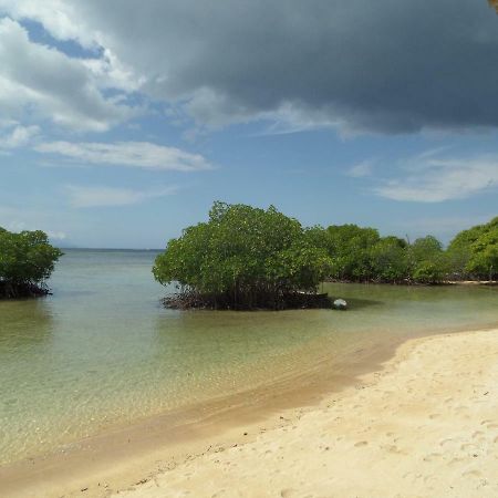 Mangrove Paradise Retreat نوسا ليمبونغان المظهر الخارجي الصورة