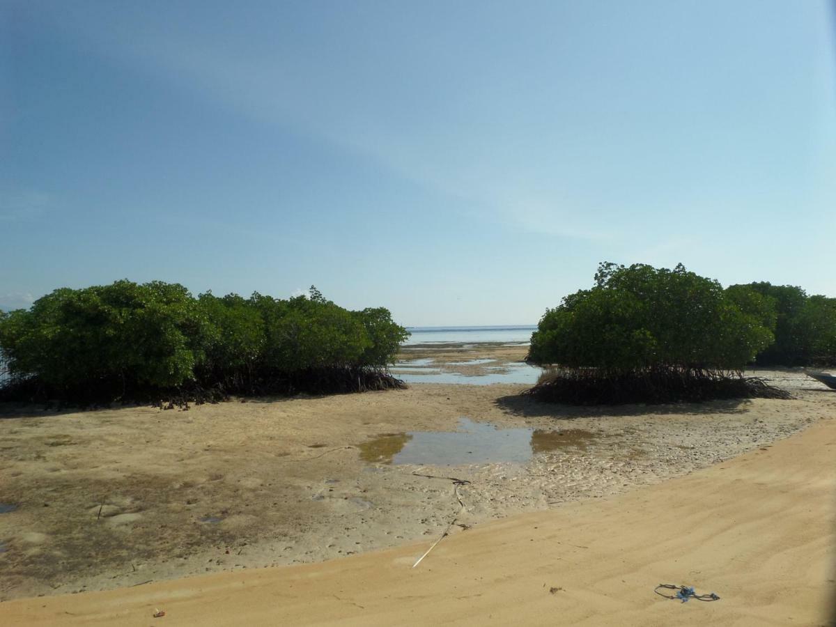 Mangrove Paradise Retreat نوسا ليمبونغان المظهر الخارجي الصورة